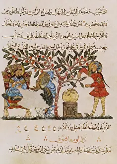 Text Prints: Dioscorides, 'De Materia Medica', 13th Century