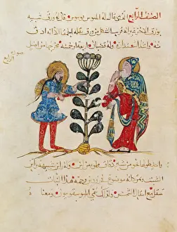 Arab Prints: Dioscorides, 'De Materia Medica', 13th Century