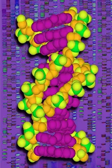 2003 Prints: DNA with autoradiograph