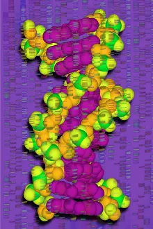 2003 Prints: DNA with autoradiograph