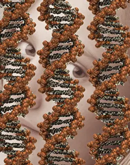 Research Prints: DNA With Child's Face