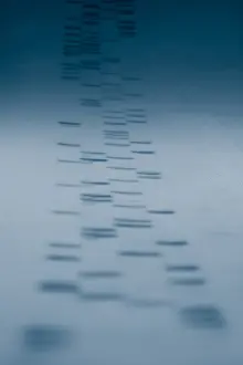 2003 Prints: DNA sequencing