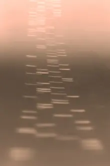 2003 Prints: DNA sequencing