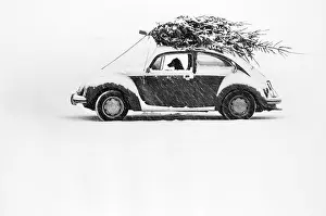 Vintage Nostalgia Prints: Dog in Car