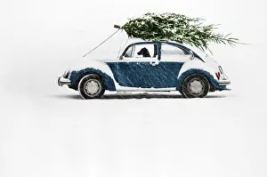 Vintage Nostalgia Prints: Dog in Car with Christmas Tree