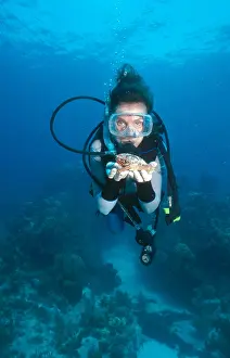 Diver Prints: Dr. Sylvia Earle
