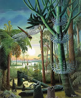 Primitive Prints: Dragonfly, Carboniferous Period Prehistoric Landscape, Paleozoic Era, Age of Coal