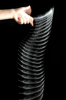 Density Prints: Dropping a Feather