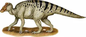 Prehistoric Prints: Duck-billed Dinosaur
