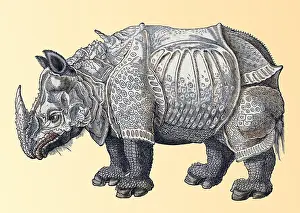 Animalium Prints: Durer, Rhinoceros, 16th Century
