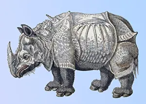 Animalium Prints: Durer, Rhinoceros, 16th Century