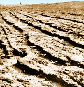 Prairie Prints: Dust Bowl Erosion