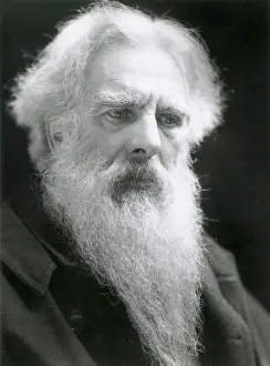 Locomotion Prints: Eadweard Muybridge, English Photographer