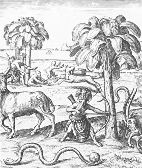 Apes Prints: Early Exploration