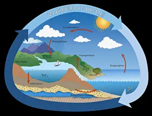 Flow Prints: Earth's Water Cycle, hydrologic cycle