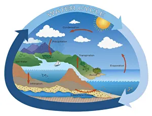 Earth's Water Cycle, hydrologic cycle, rain, evaporation, condensation, ecology illustration