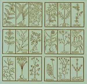 Horticulture Prints: Edible herbs