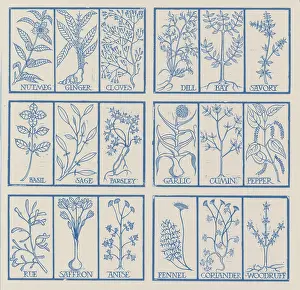 Horticulture Prints: Edible herbs