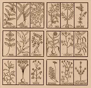 Edible herbs