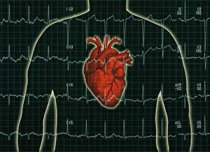 Test Prints: EKG and Heart over torso