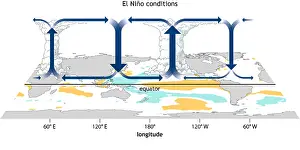 Oscillation Prints: El Nino, Walker Circulation Anomaly