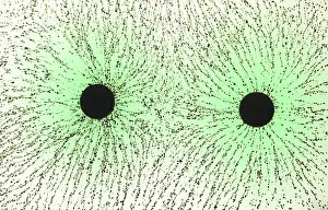 Studio Prints: Electric Field Lines