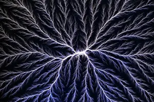 Pattern Prints: Electrical Discharge (Lichtenberg Figure)