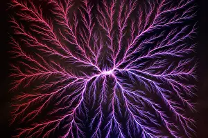 Pattern Prints: Electrical Discharge (Lichtenberg Figure)