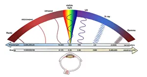 Electromagnetic Spectrum