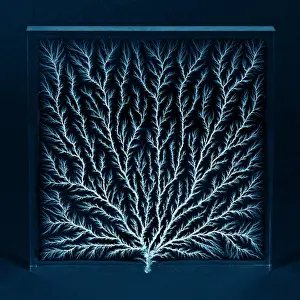 Beam Prints: Electron Tree or Lichtenberg Figure