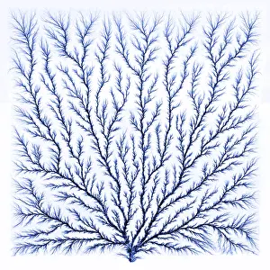 Beam Prints: Electron Tree or Lichtenberg Figure