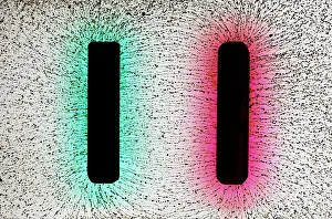 Studio Prints: Electrostatic Field Lines