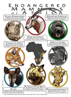Design Prints: Endangered Mammals of Africa