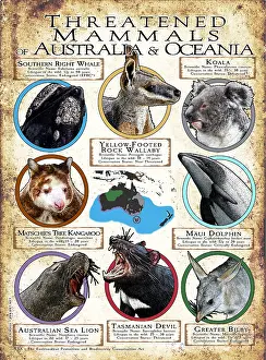 Design Prints: Endangered Mammals of Australia and Oceania