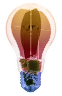 2016 Prints: Energy Efficient LED Light, X-ray