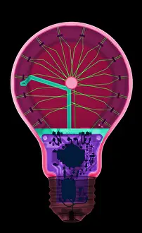 Light Prints: Energy Efficient LED Light, X-ray