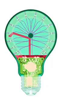 Light Prints: Energy Efficient LED Light, X-ray