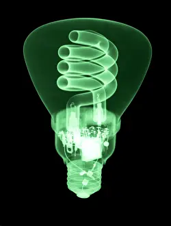 Rays Prints: Energy Efficient Light Bulb