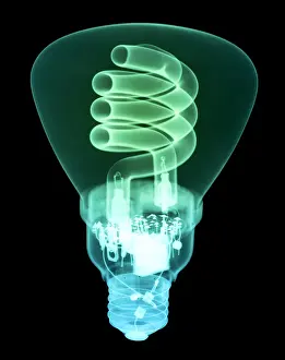 Rays Prints: Energy Efficient Light Bulb