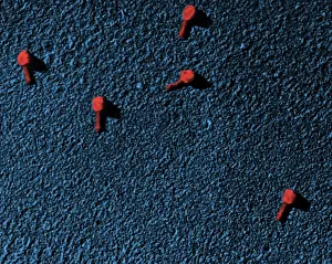 Microorganisms Prints: Enterobacteria phage T2, TEM