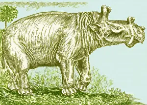 2011 Prints: Eobasileus