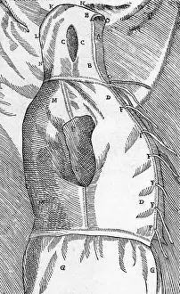 Operating Prints: Equipment for One of Tagliacozzi's Rhinoplasty Methods
