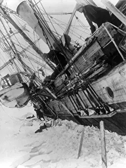 20th Prints: Ernest Shackleton Aboard Endurance, 1915