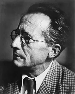 Physicist Prints: Erwin Schrodinger, Austrian Physicist