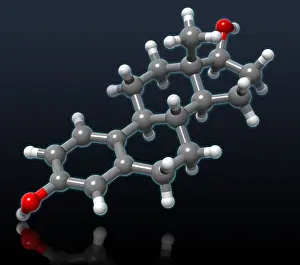 Cycle Prints: Estradiol Molecular Model