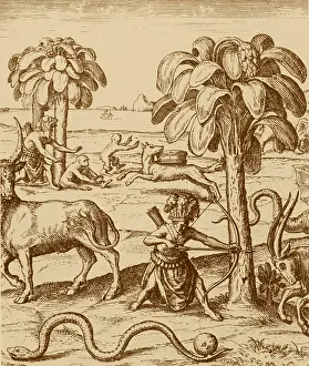 Apes Prints: Exploration 1598