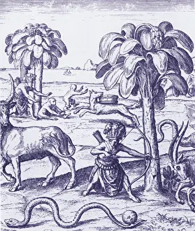 Apes Prints: Exploration 1598