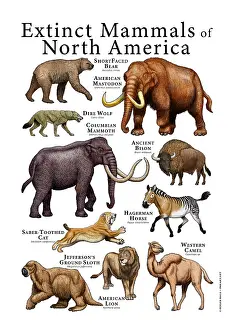 Ancient Prints: Extinct Animals of North America