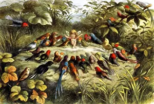 Folklore Prints: Fairy Rehearsal, Legendary Creature