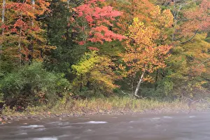 Freshwater Prints: Fall on the Battenkill River